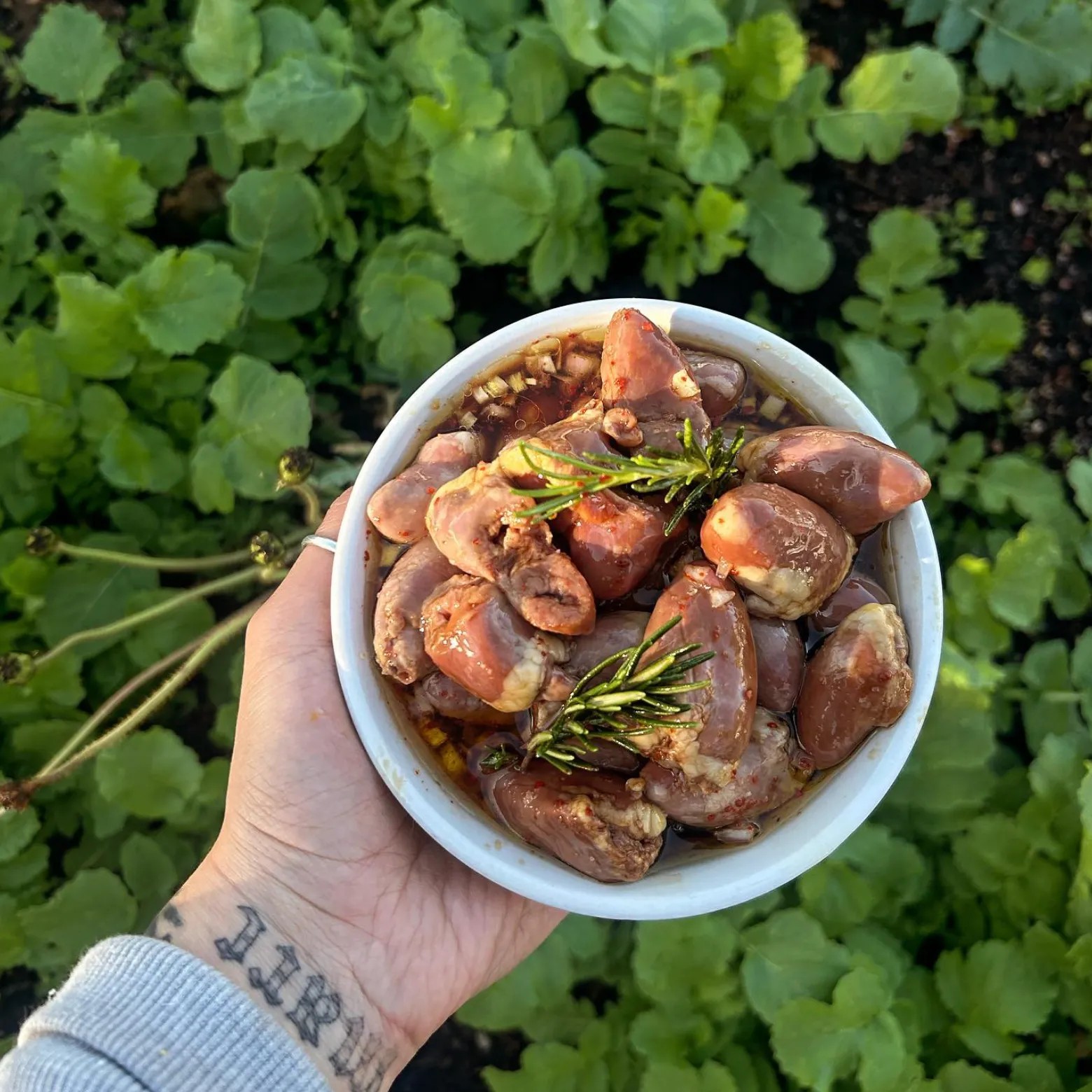 Image alt description