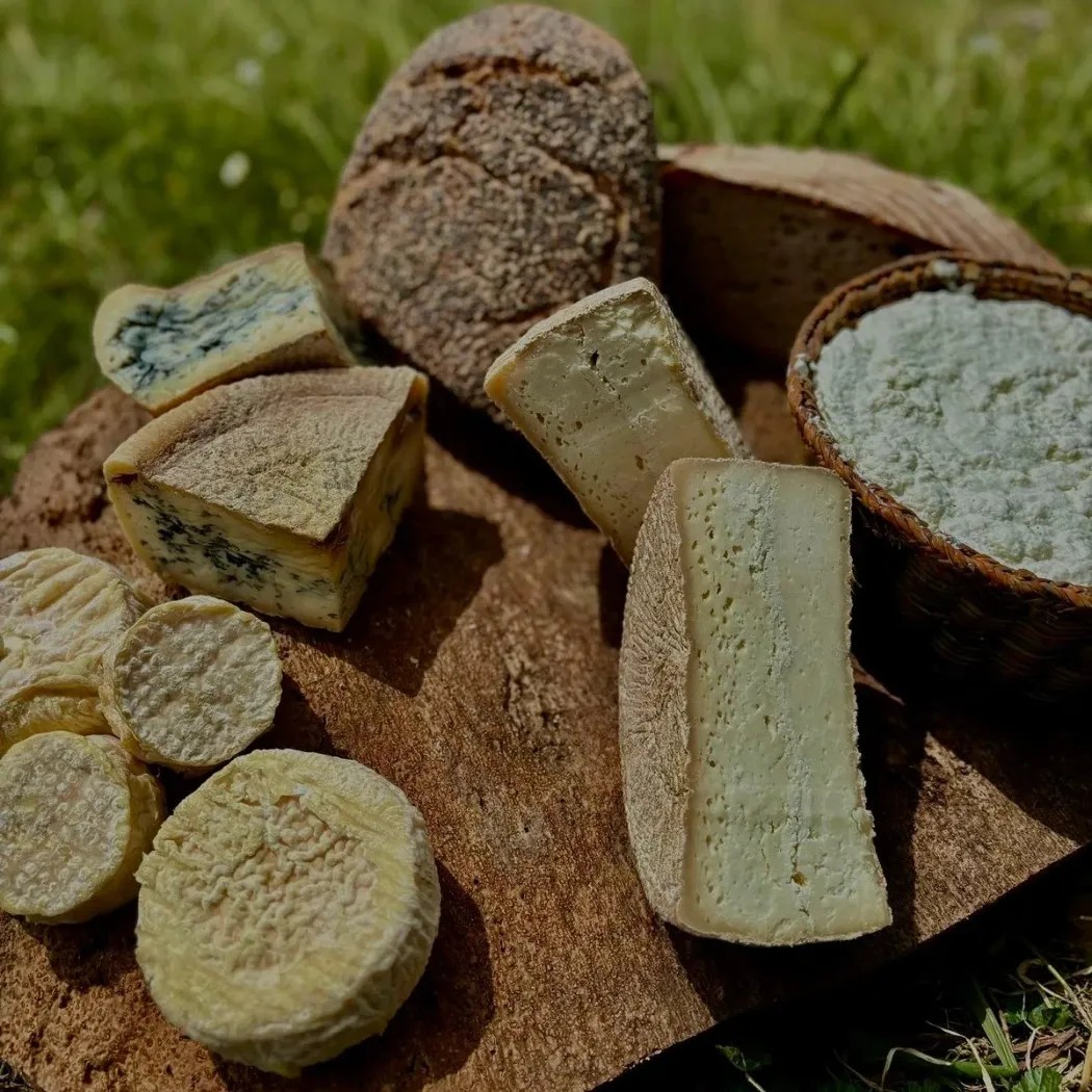 Image alt description