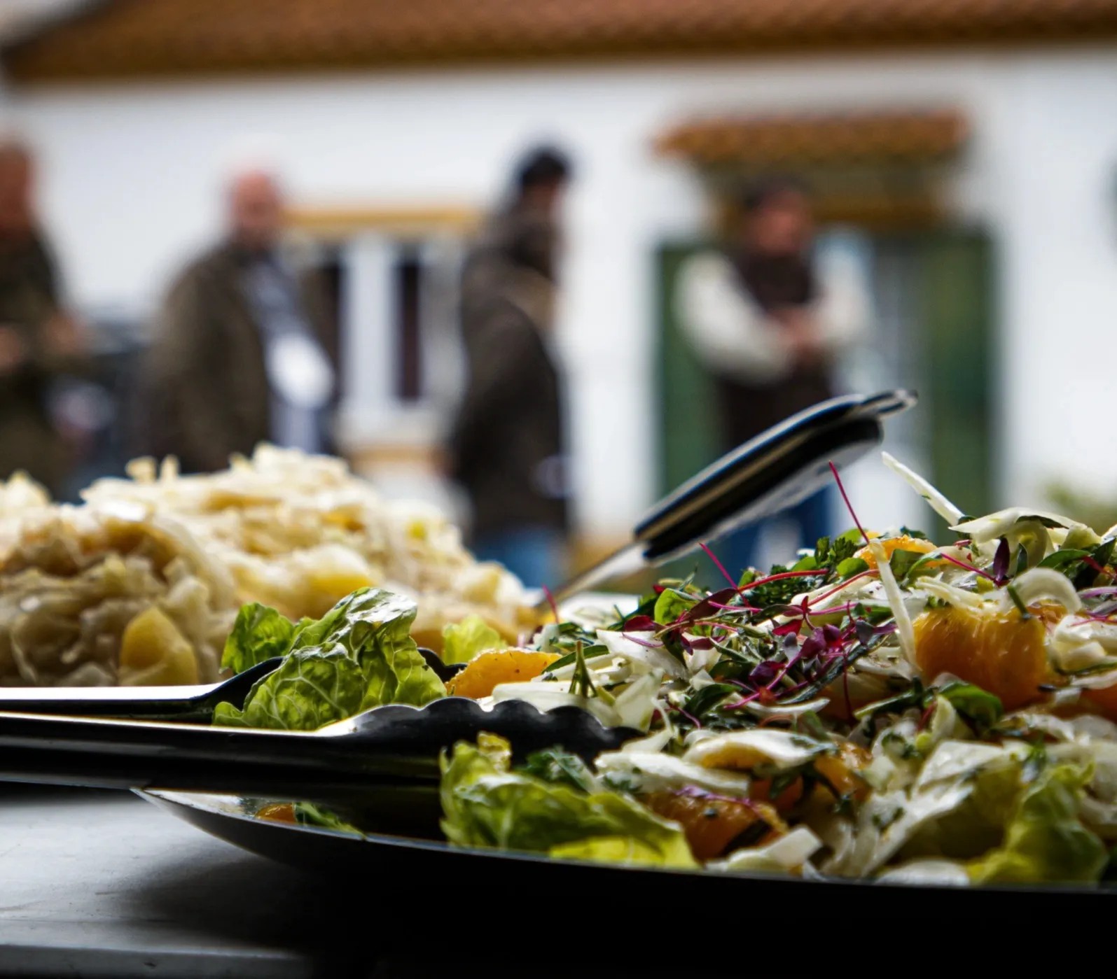 Image alt description