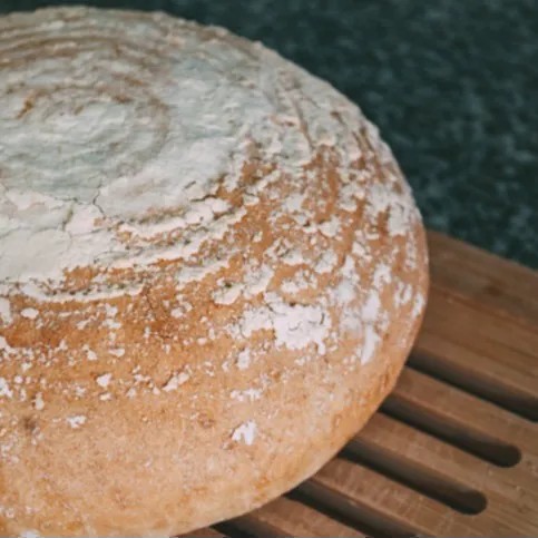 Image alt description