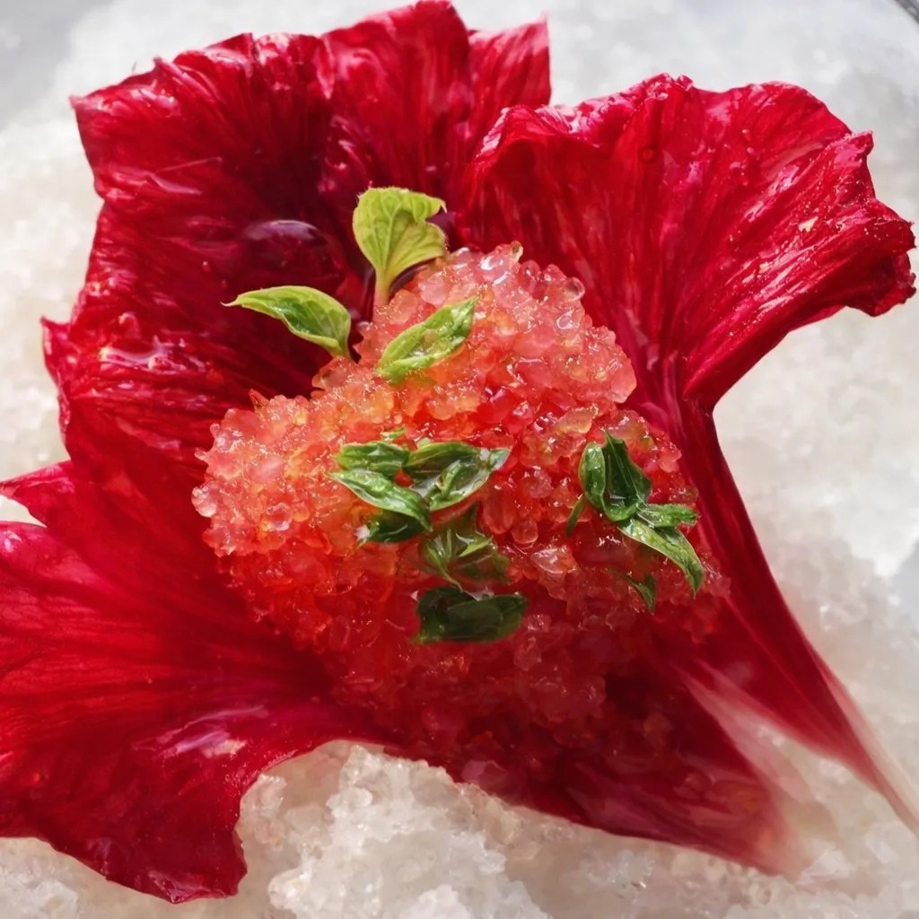 Image alt description