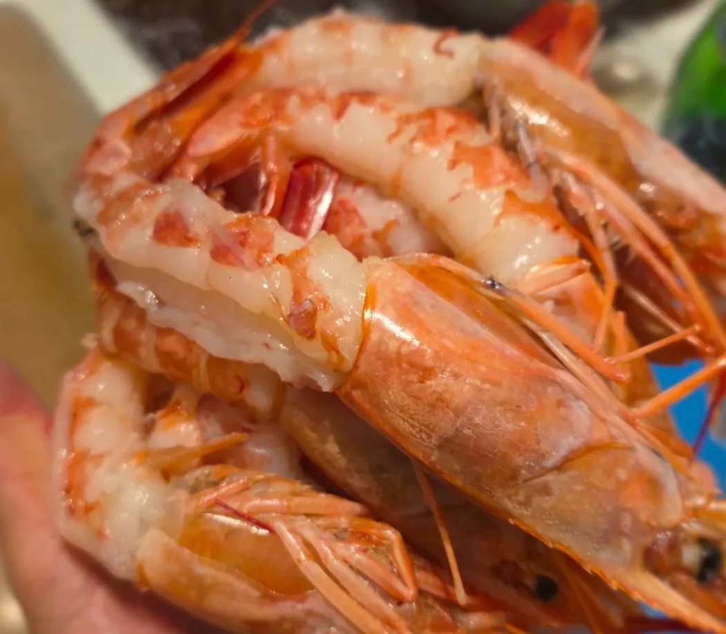 Image alt description