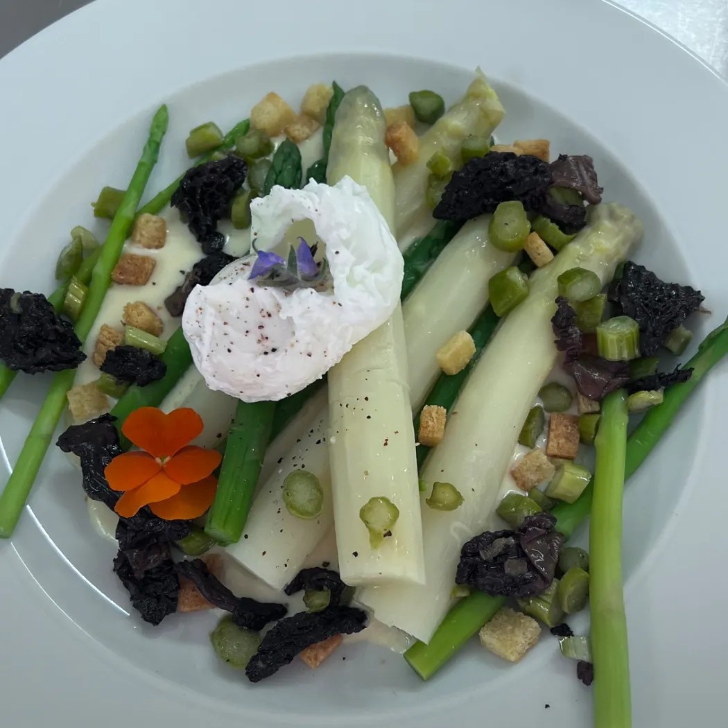 Image alt description