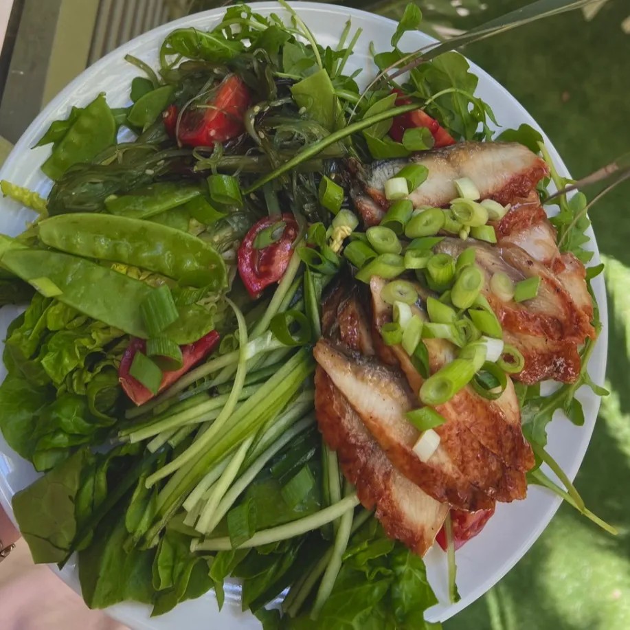 Image alt description