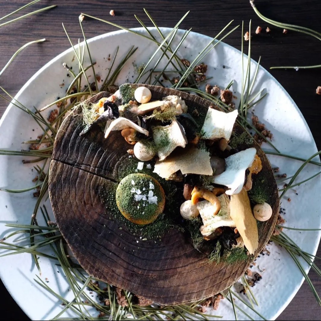 Image alt description