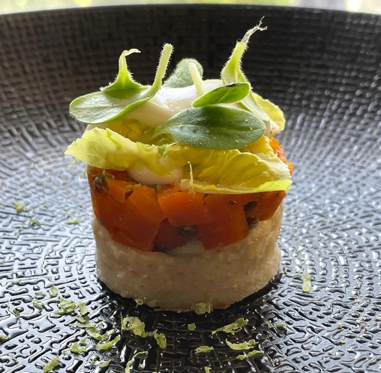 Image alt description