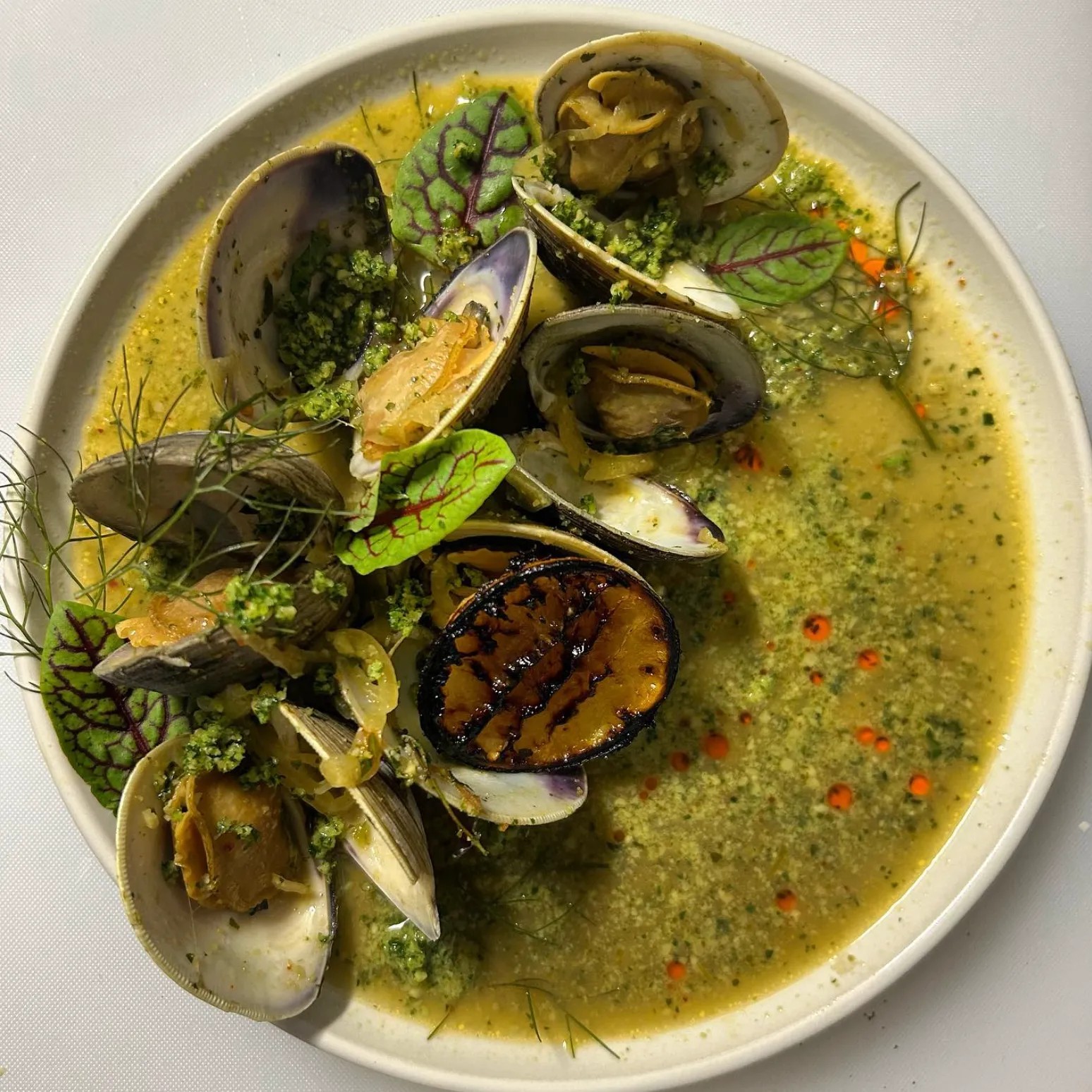 Image alt description