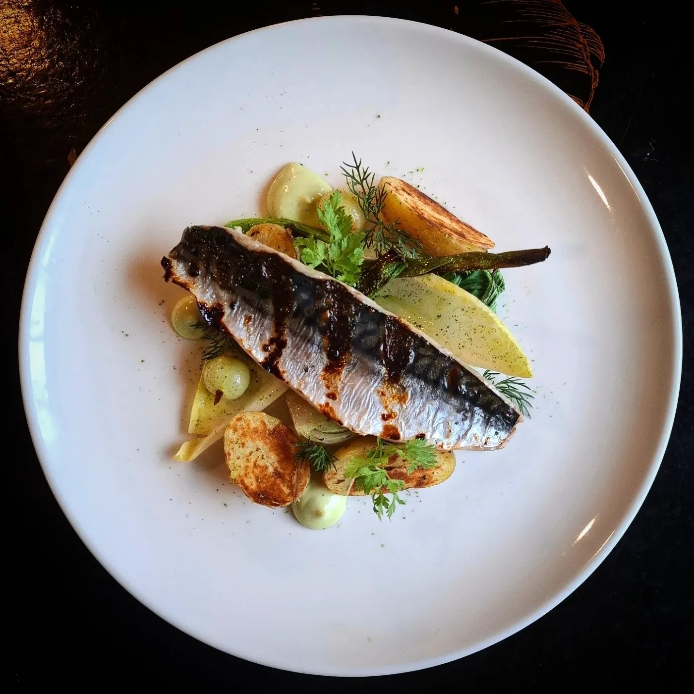 Image alt description