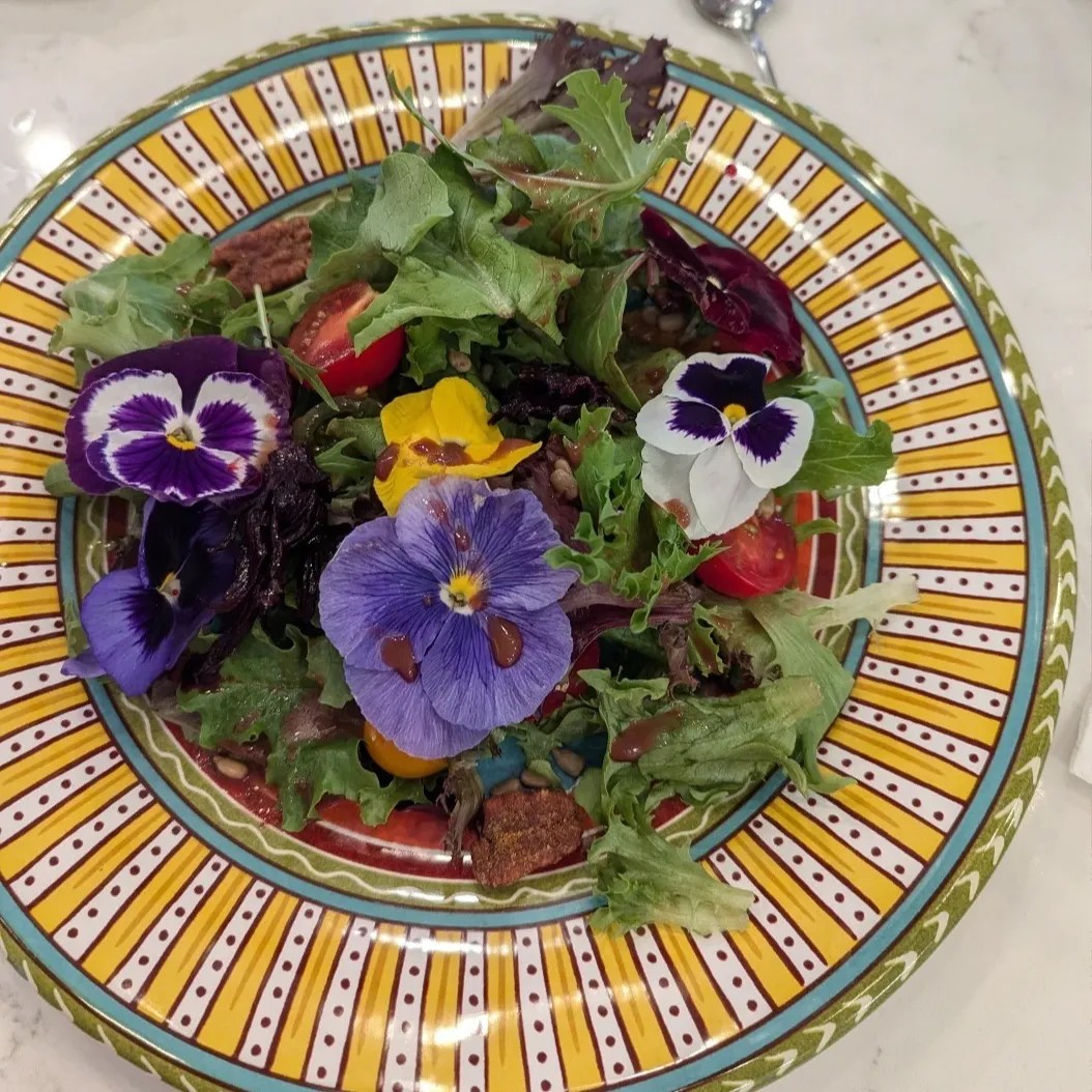 Image alt description