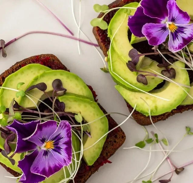 Image alt description