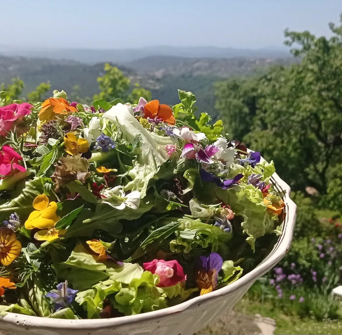 Image alt description