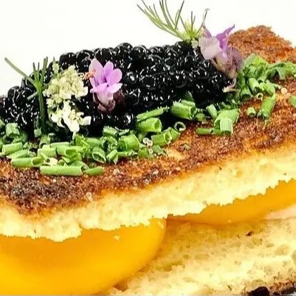 Image alt description