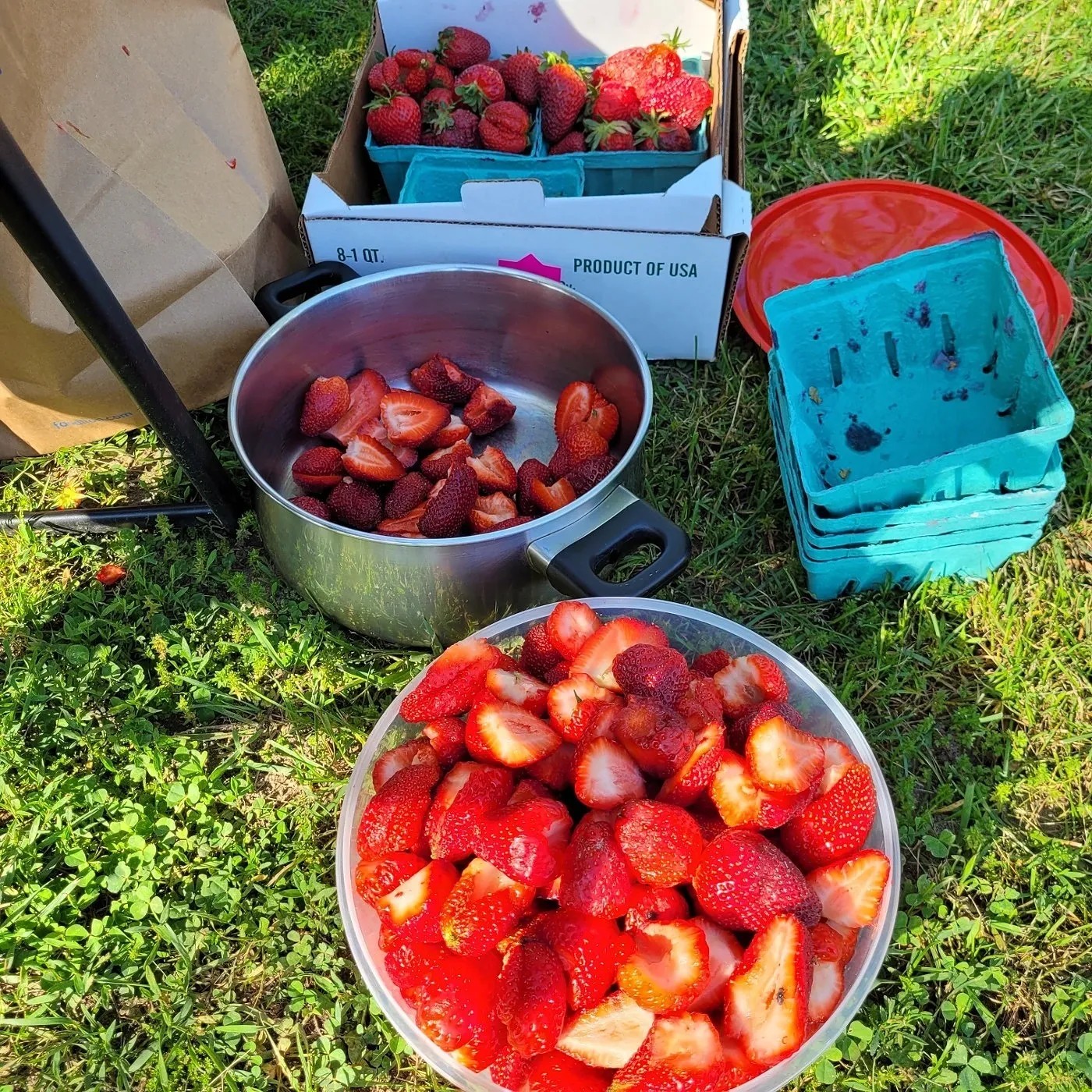 Image alt description