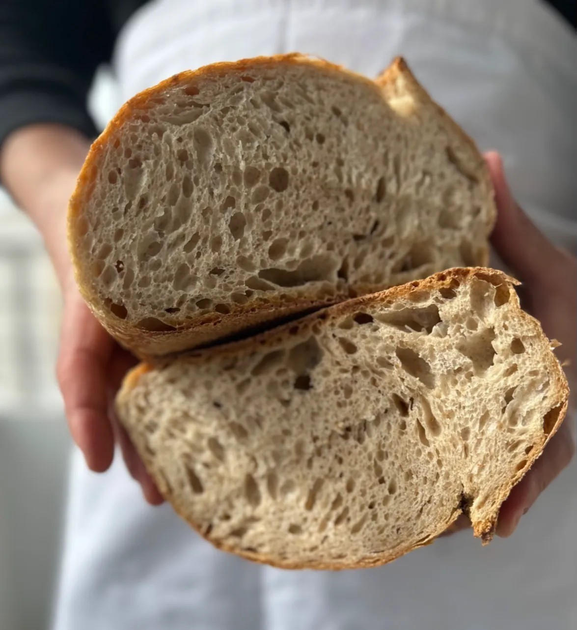 Image alt description