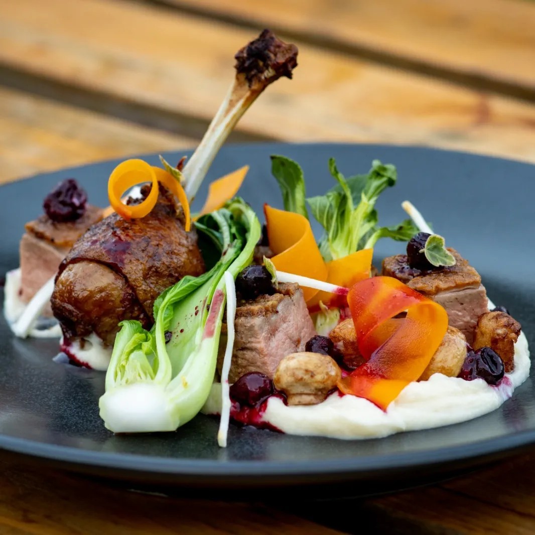 Image alt description