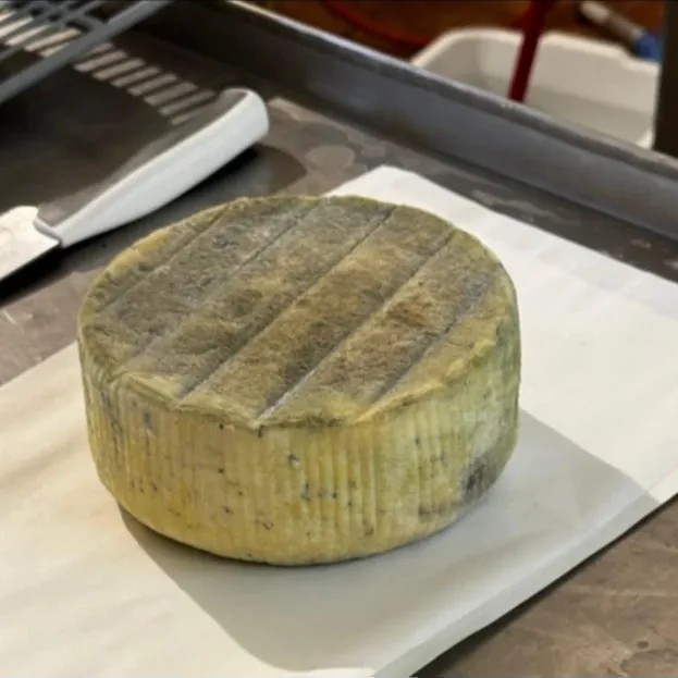 Image alt description