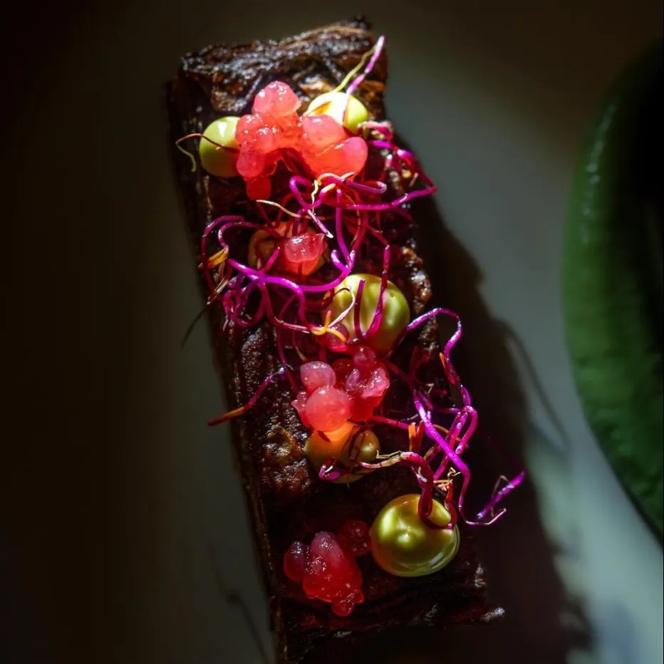 Image alt description