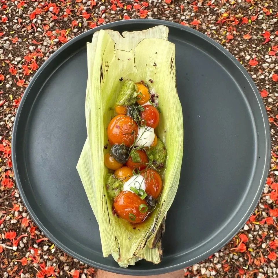 Image alt description