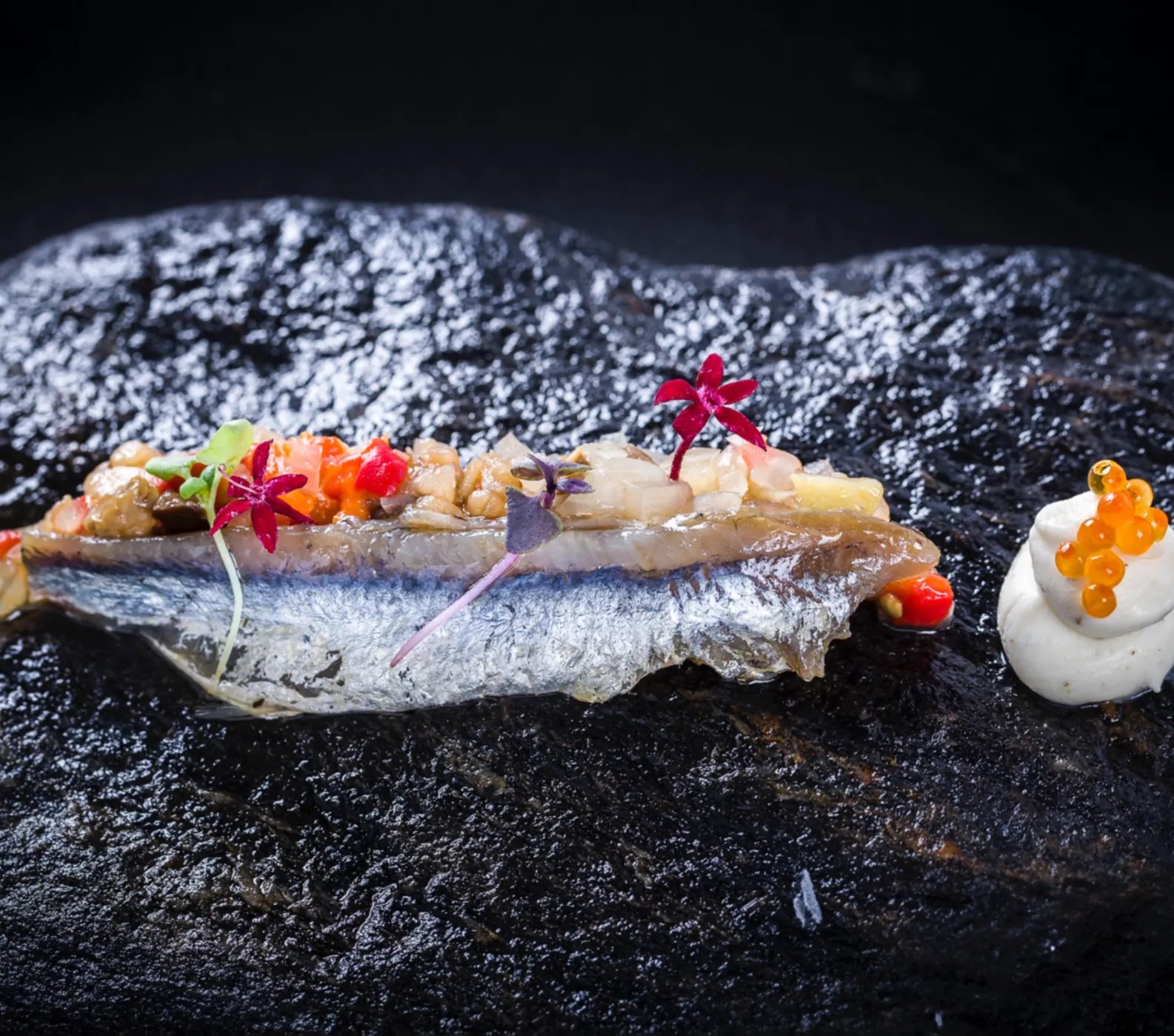 Image alt description