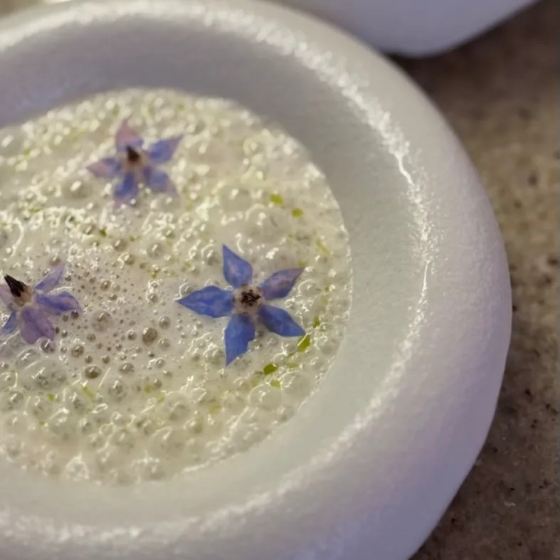 Image alt description