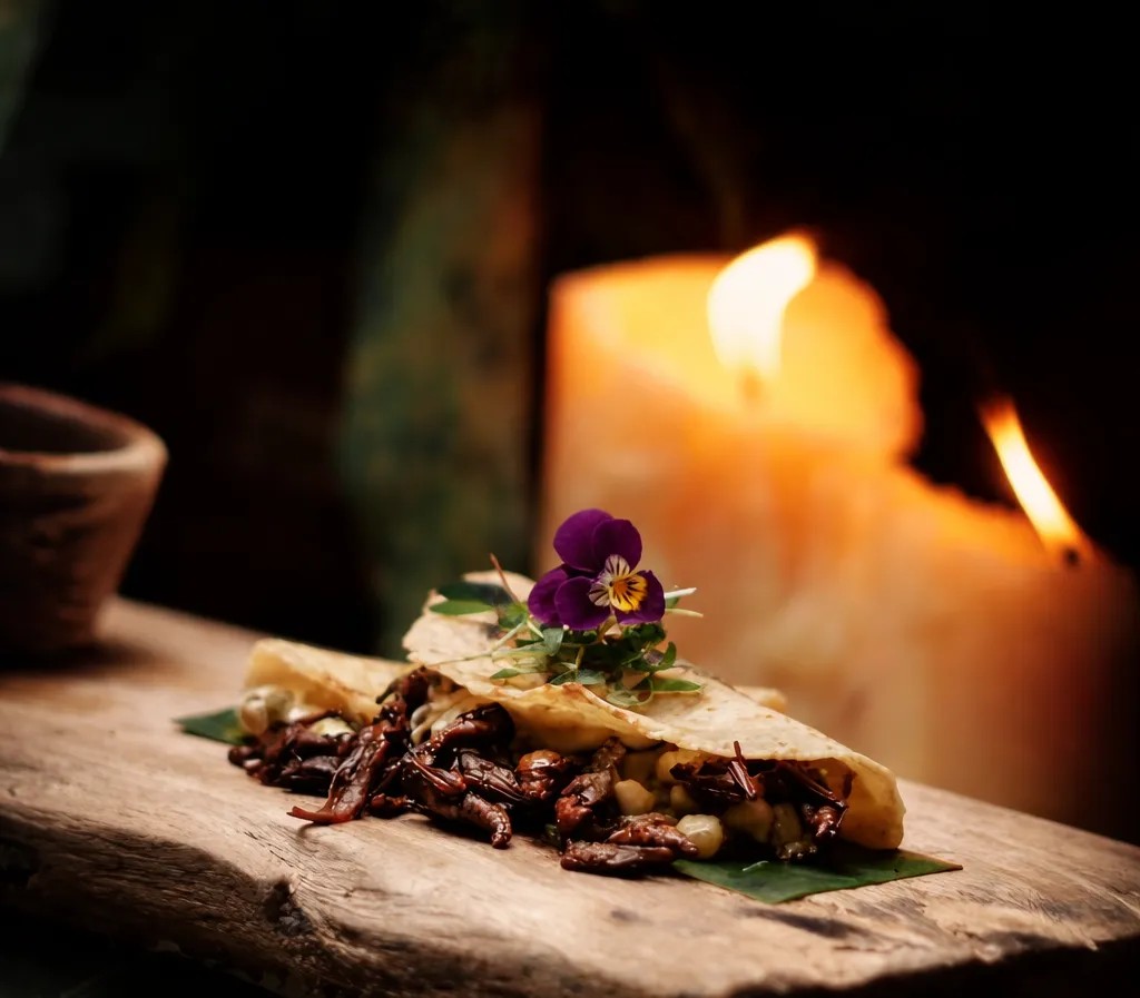 Image alt description