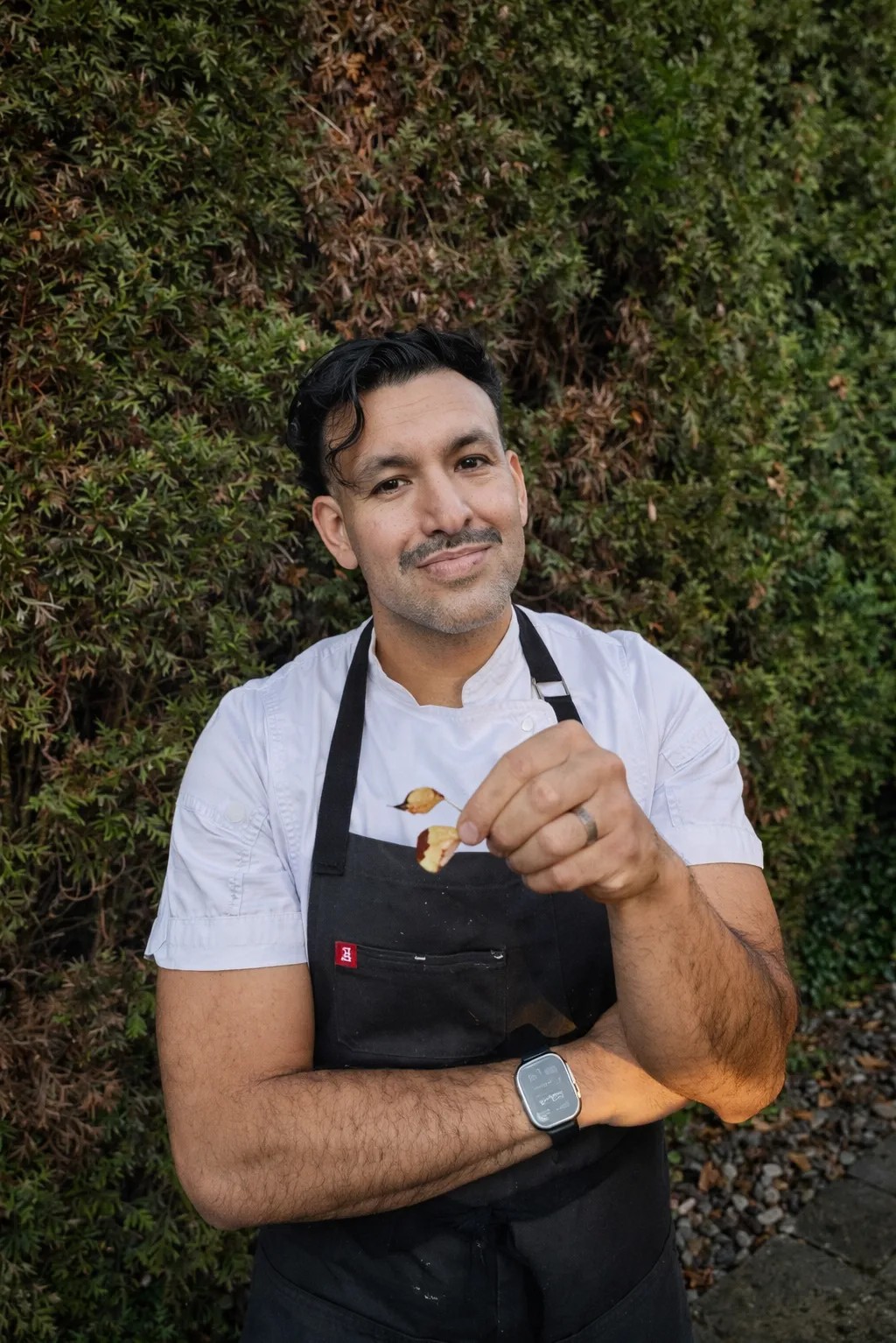 Image alt description