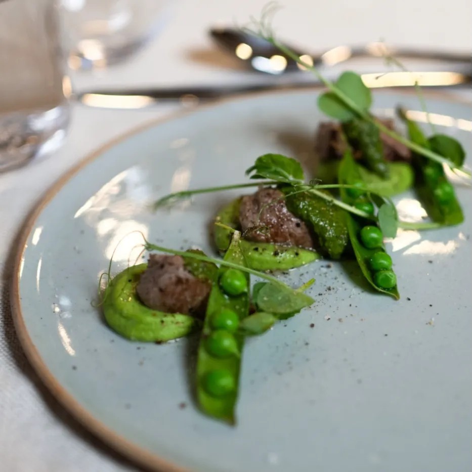 Image alt description