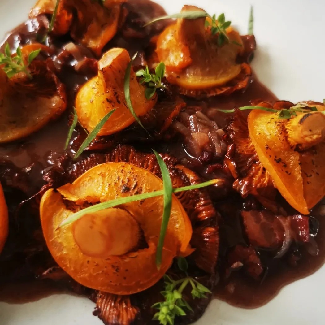 Image alt description