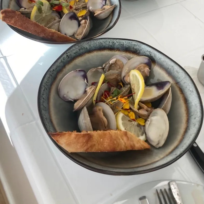 Image alt description