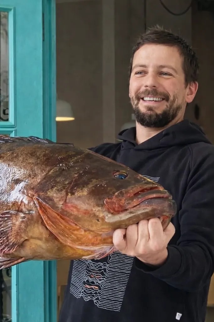 Image alt description