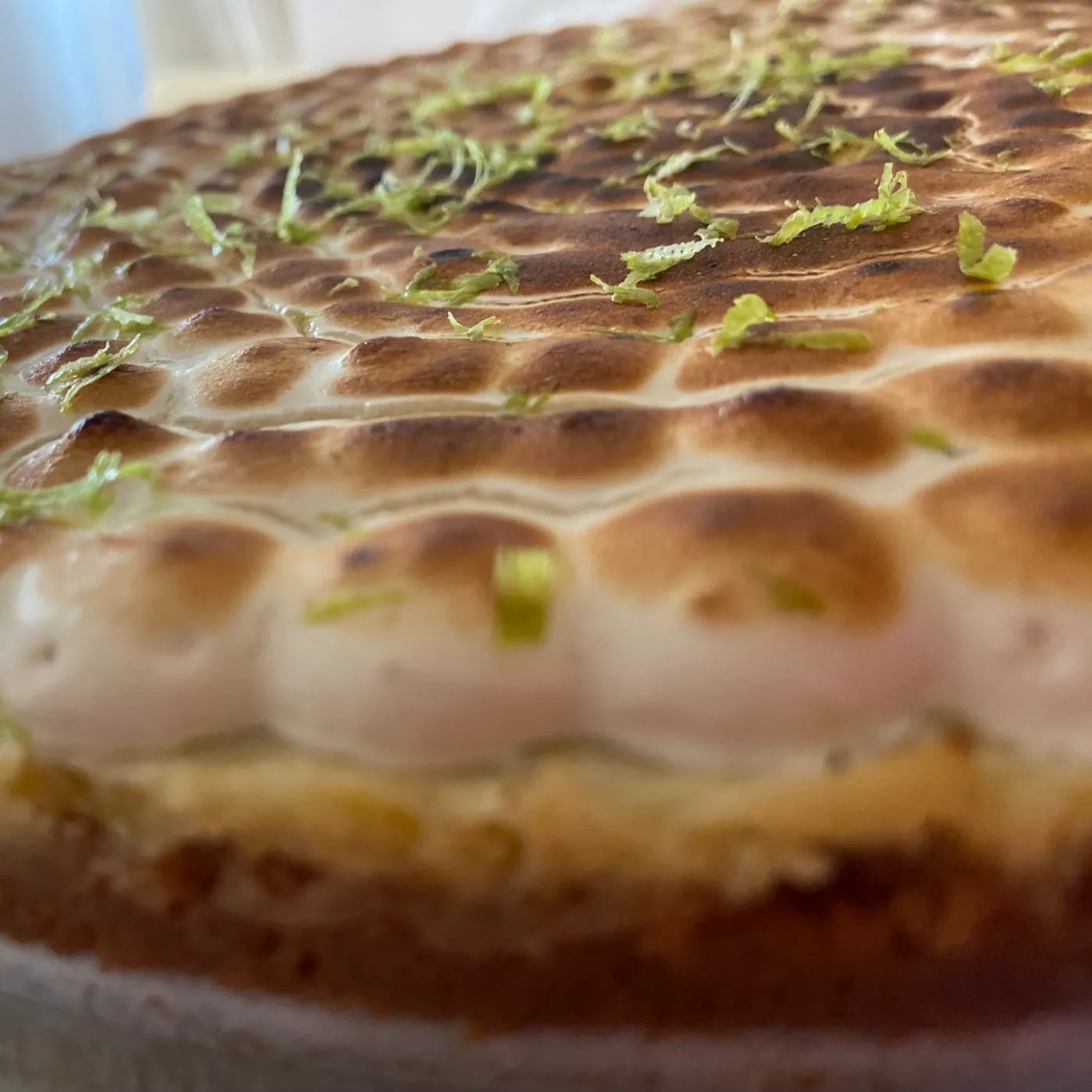 Image alt description