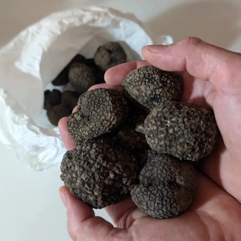 Image alt description