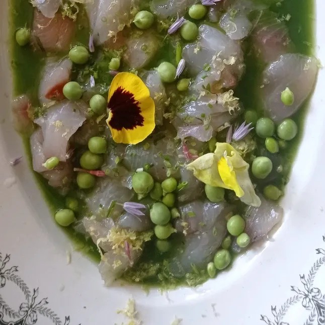 Image alt description