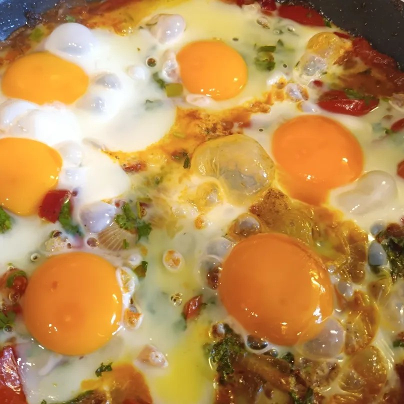 Image alt description