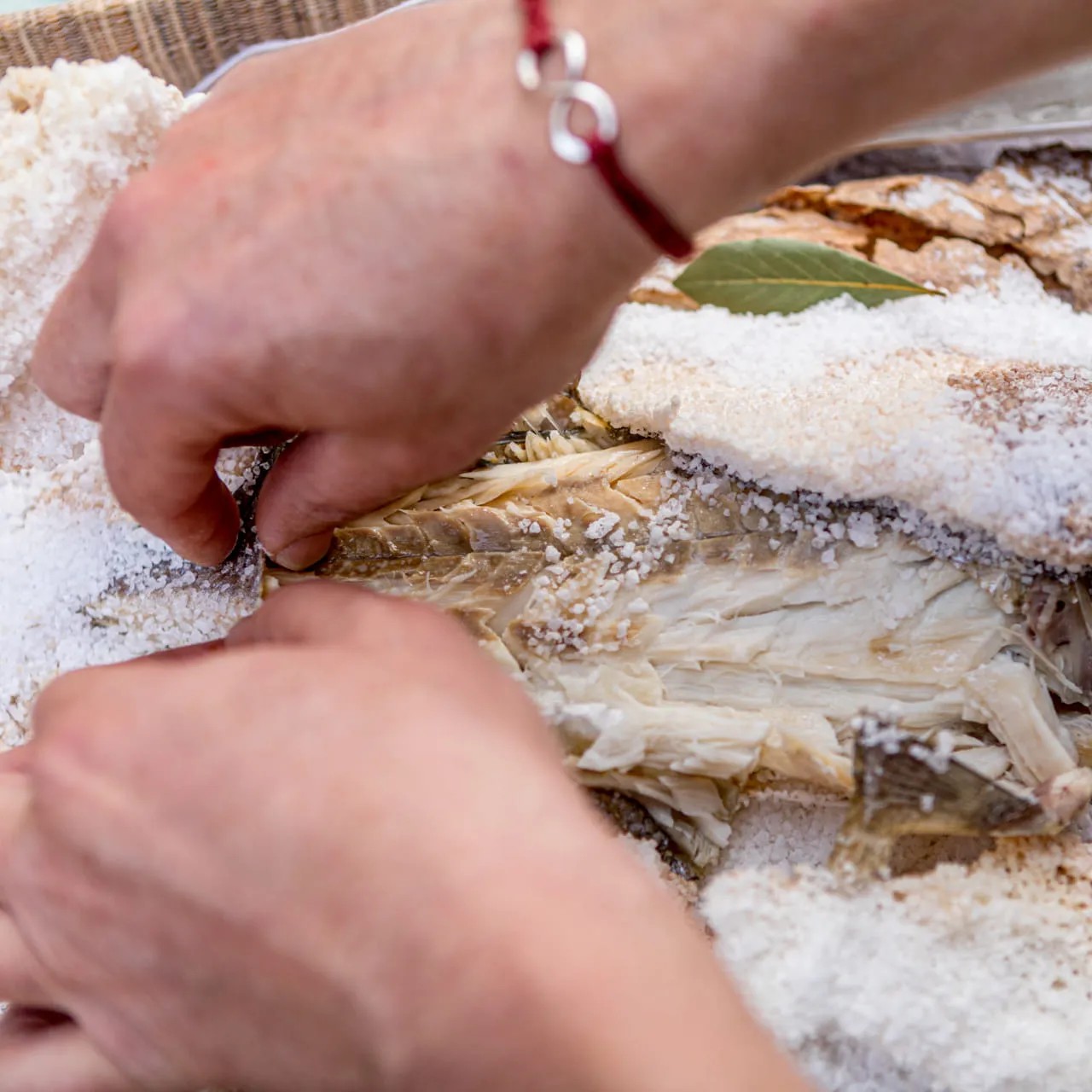 Image alt description