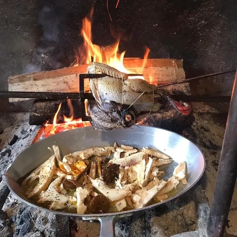 Image alt description