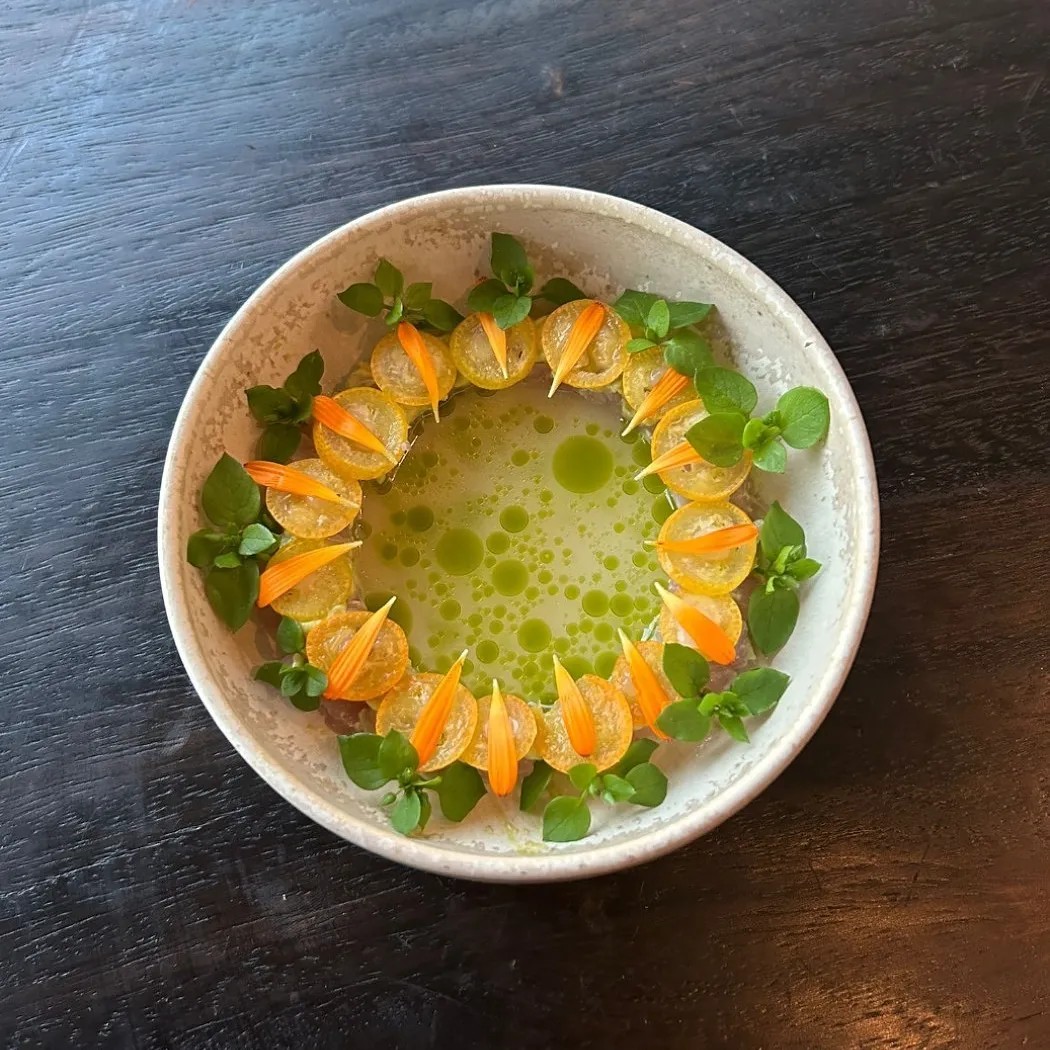 Image alt description