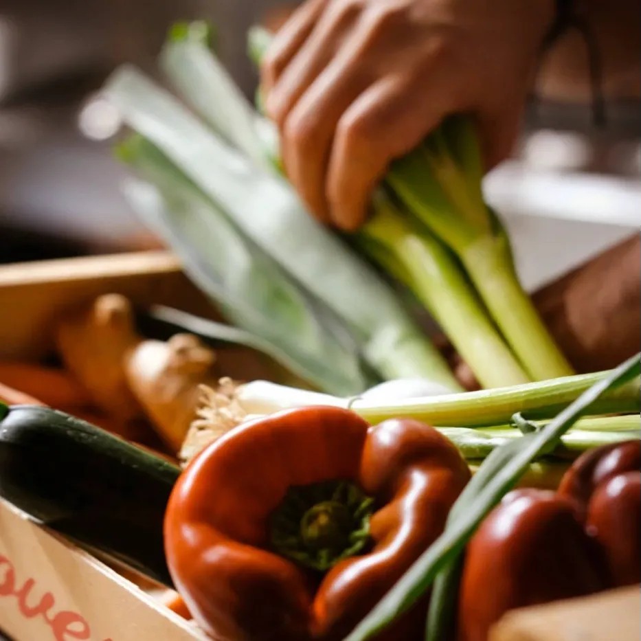 Image alt description