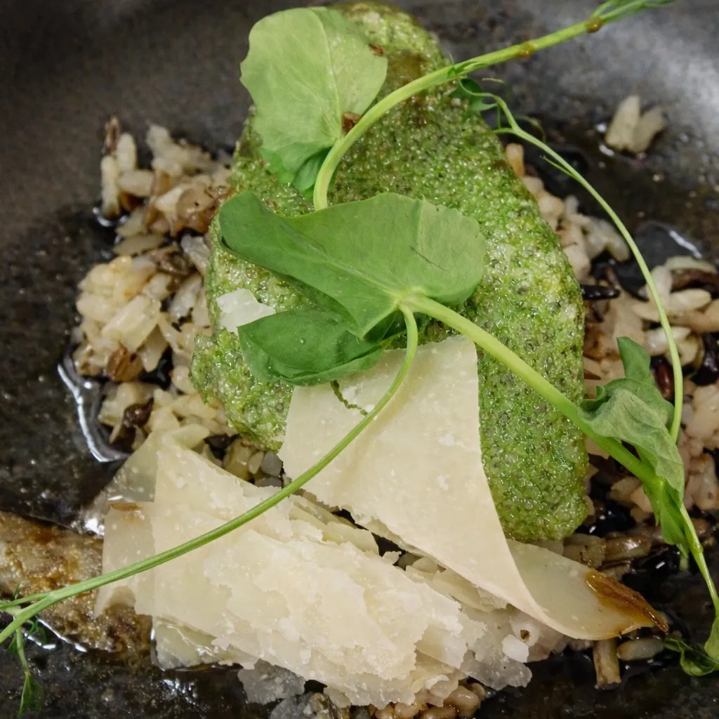 Image alt description