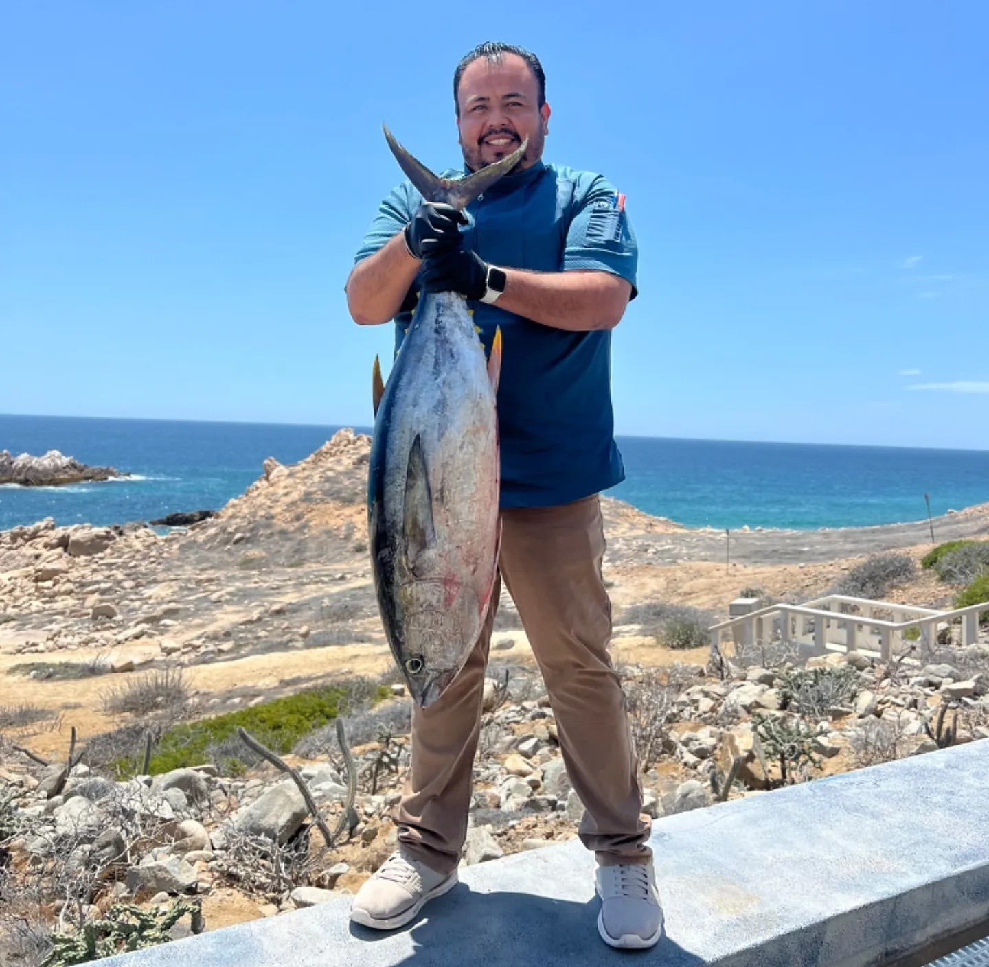 Image alt description