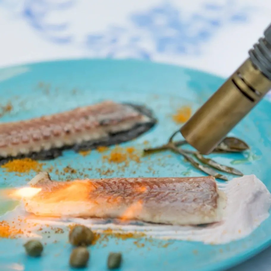 Image alt description