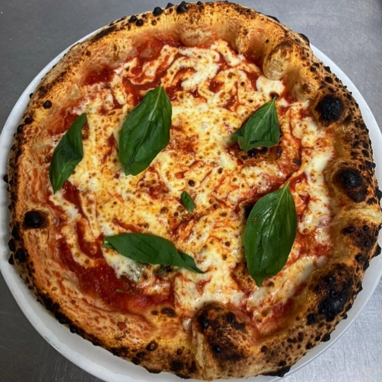 Image alt description