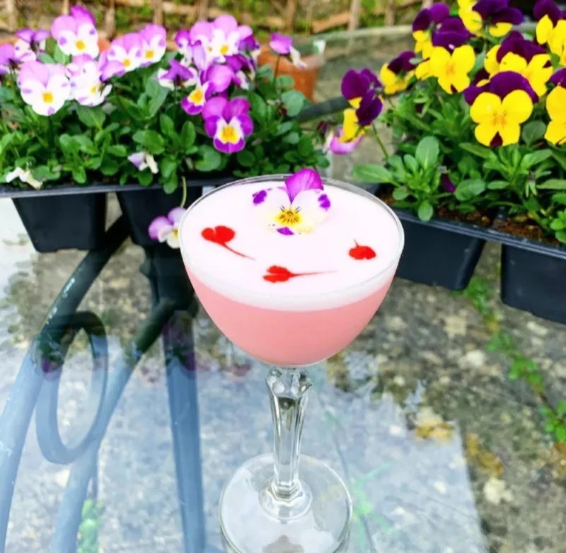 Image alt description