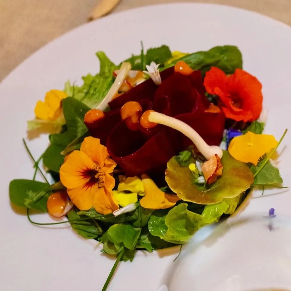 Image alt description