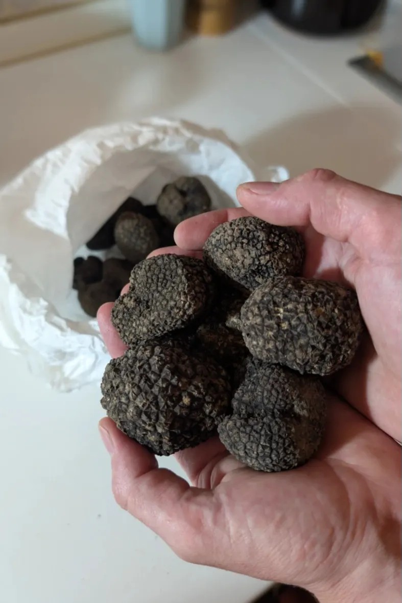 Image alt description