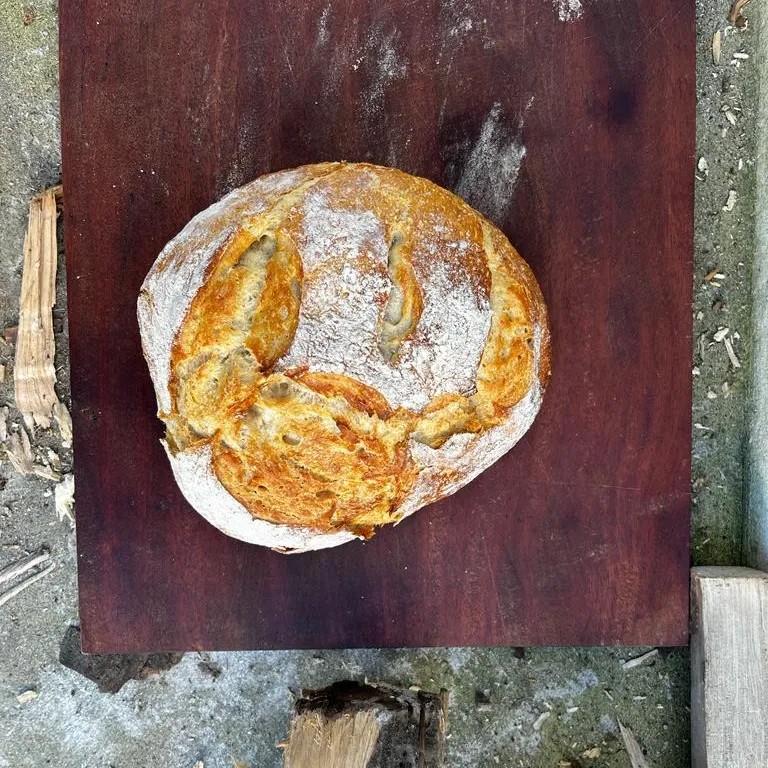 Image alt description