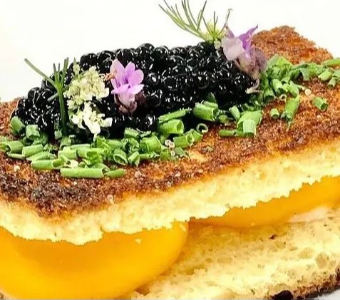 Image alt description