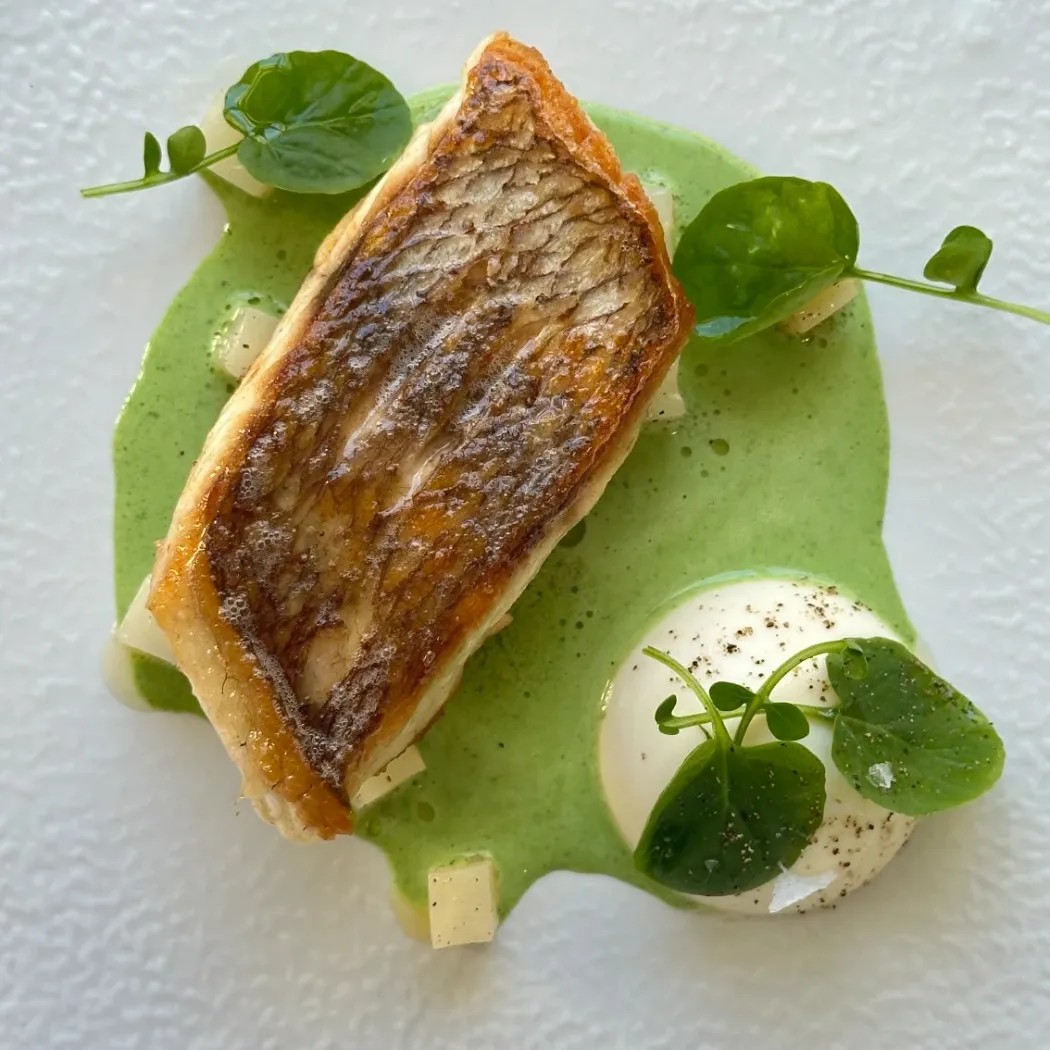 Image alt description