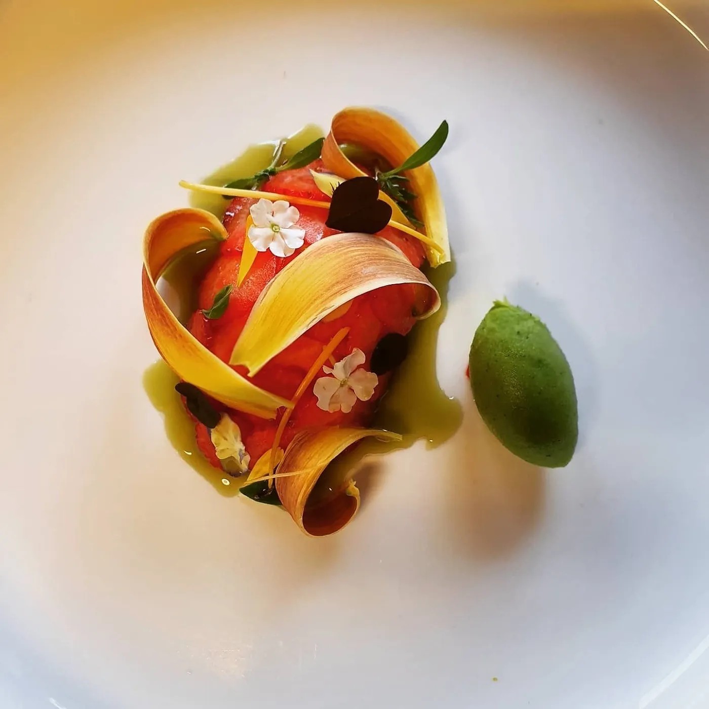 Image alt description