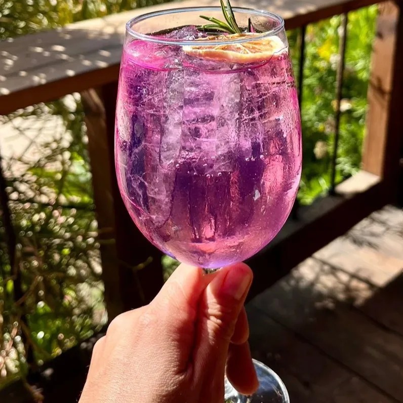 Image alt description